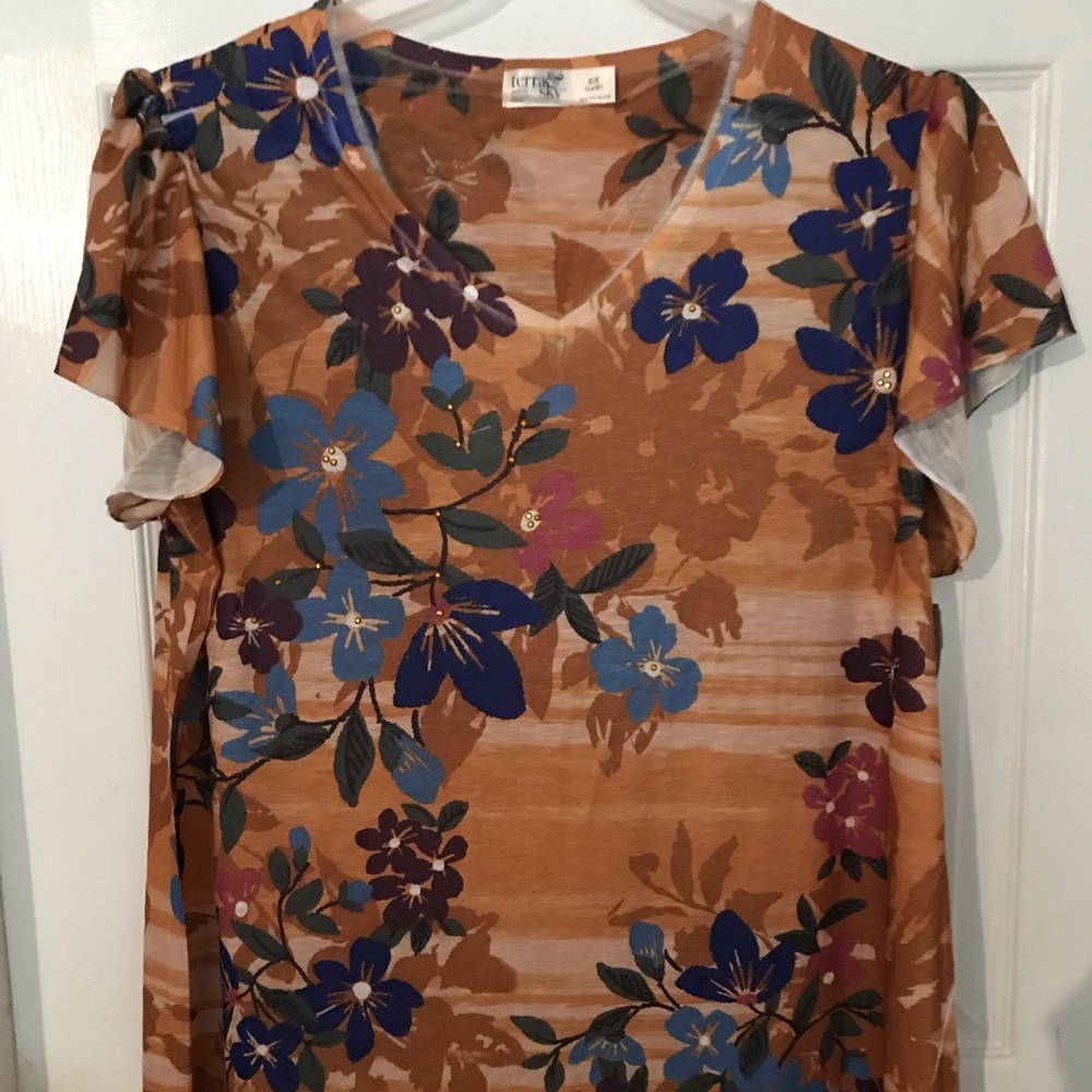 Terra & Sky v-neck, flutter sleeve top